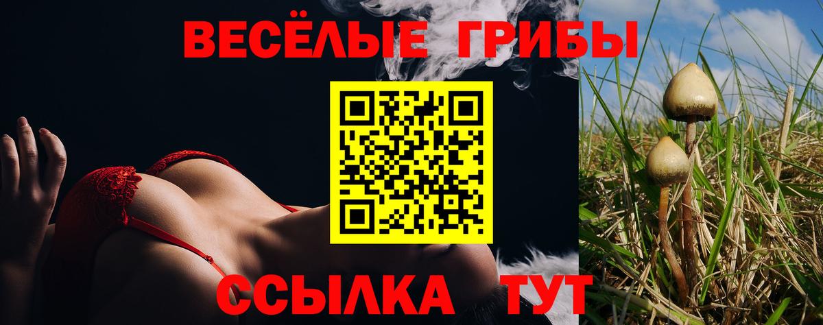 Хабаровск  Галлюциногенные грибы прущие грибы  Вход с VPN  Галлюциногенные грибы Psilocybine cubensis 